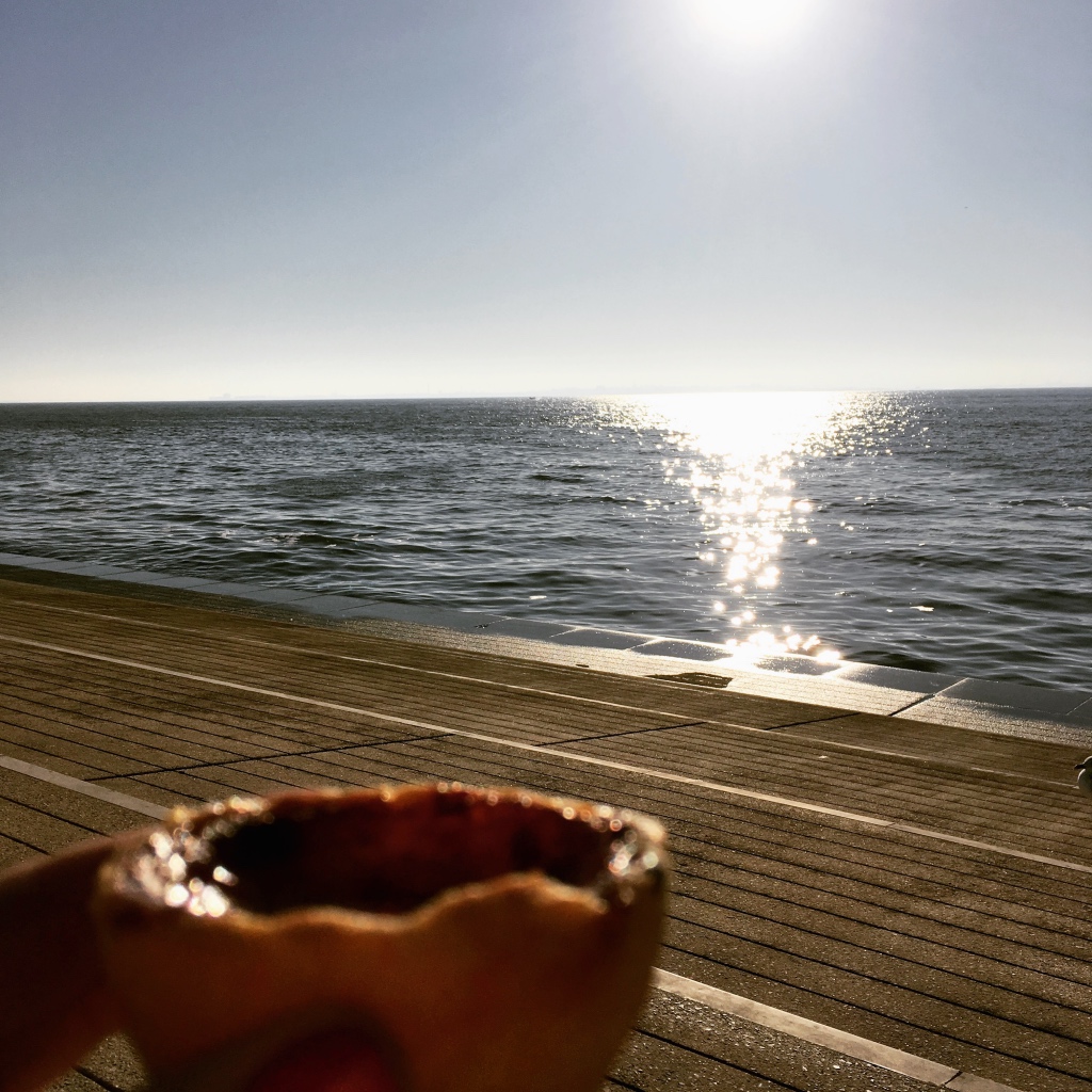 Pastel de Nata in the Sun